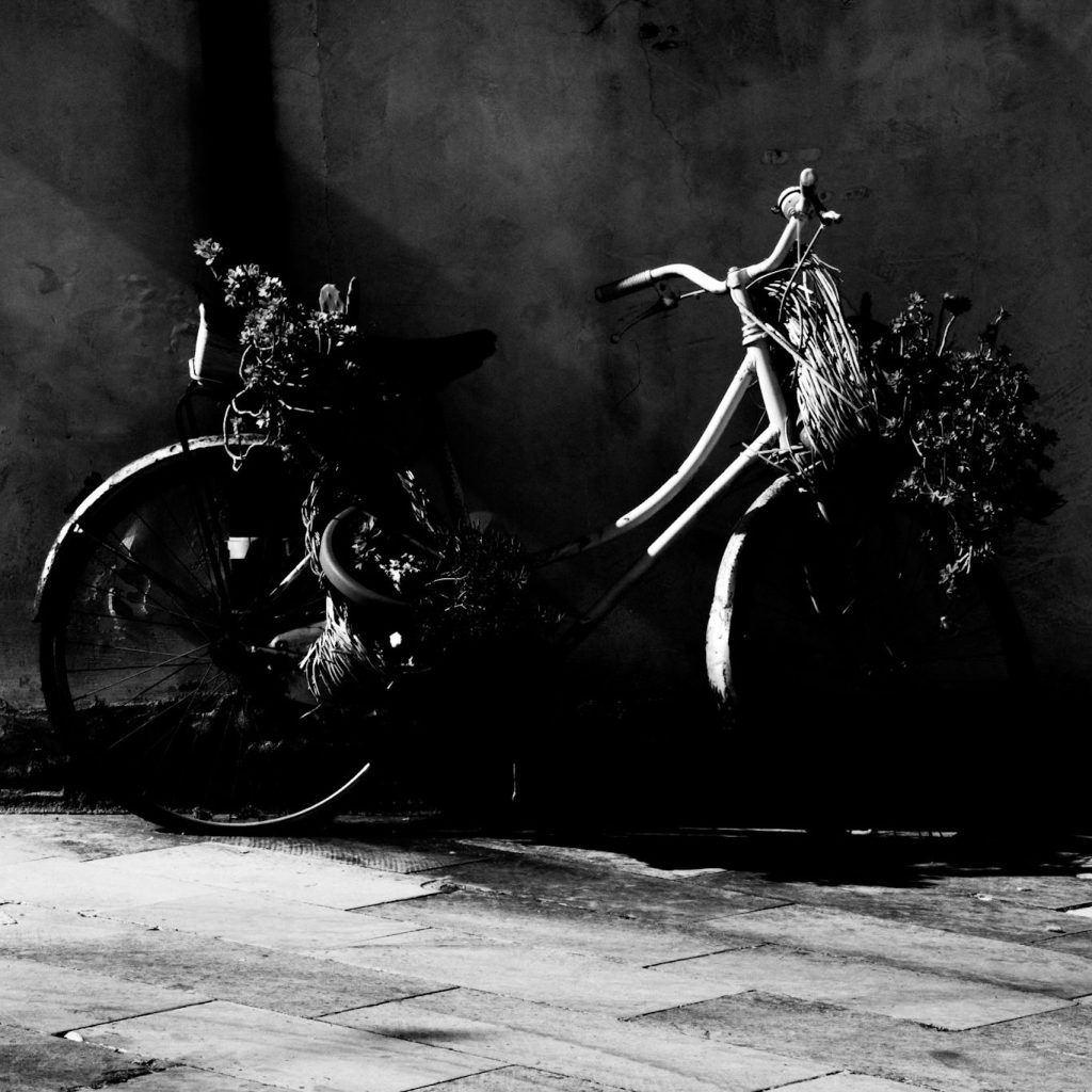 Black and white picture of ancient bicycle with flowers. Deco Bicycle