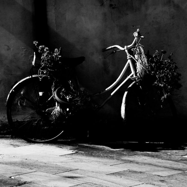 Black and white picture of ancient bicycle with flowers. Deco Bicycle