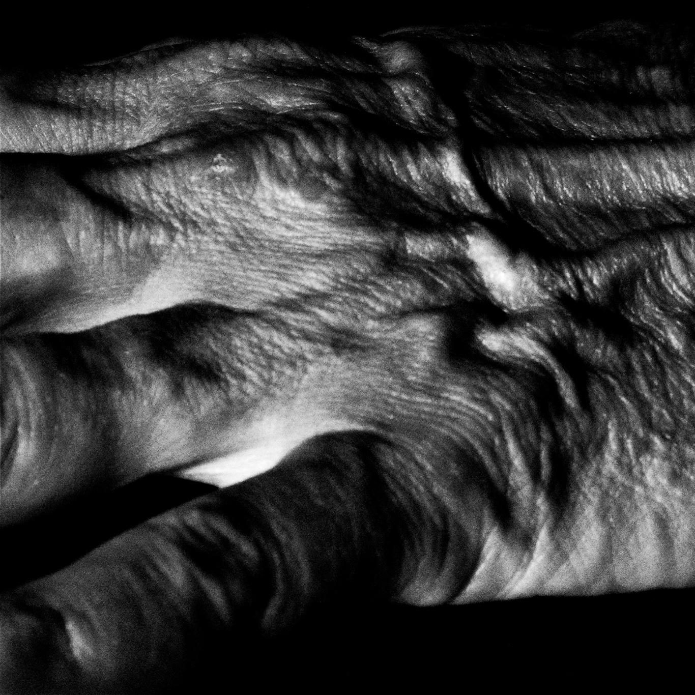 Black and white picture of the hand of an old lady