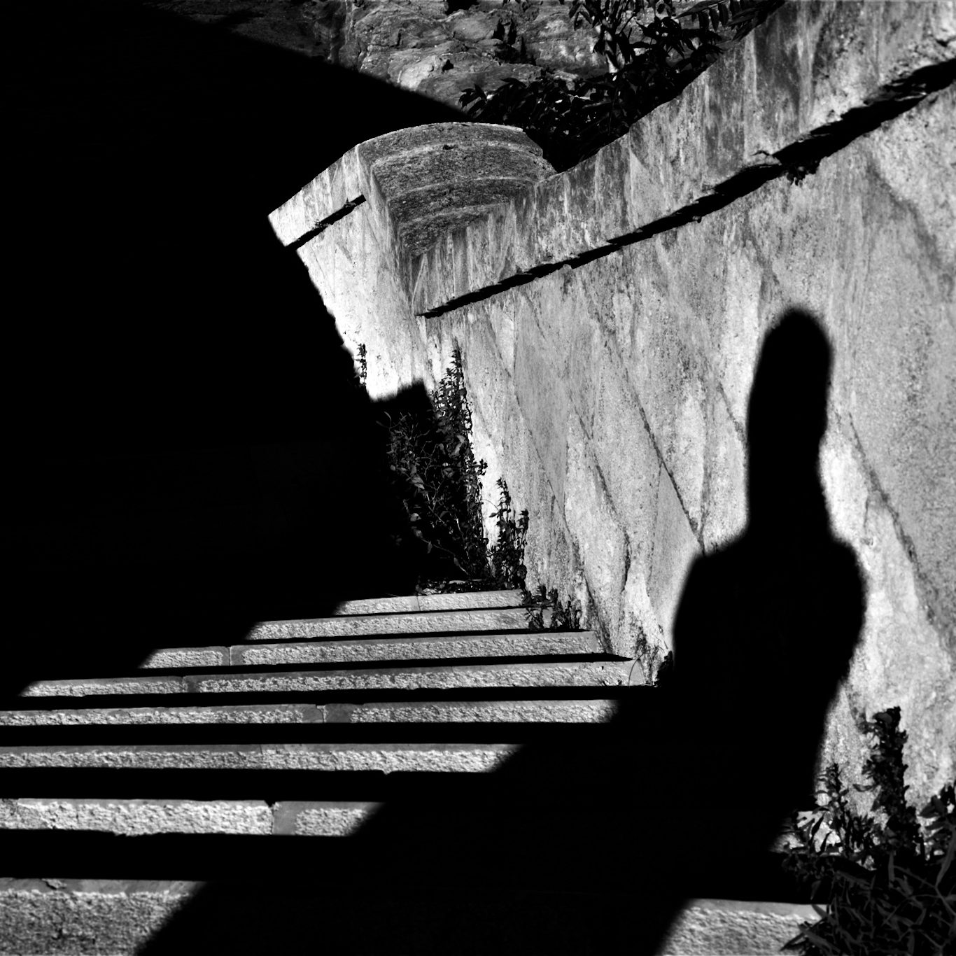The shadow of a thoughtful man walking down the stairs in a black and white picture