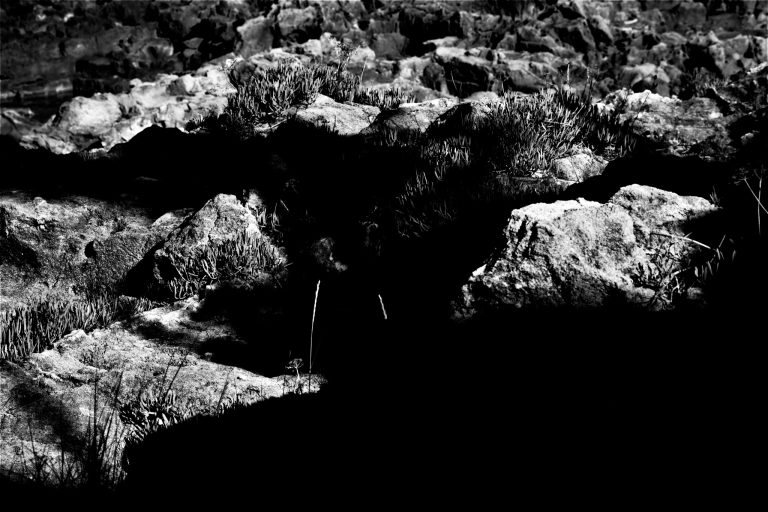 Black and white landscape of a mano walking in a field